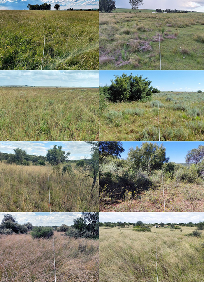 Commissioned Research, University of Pretoria, fenceline marking
