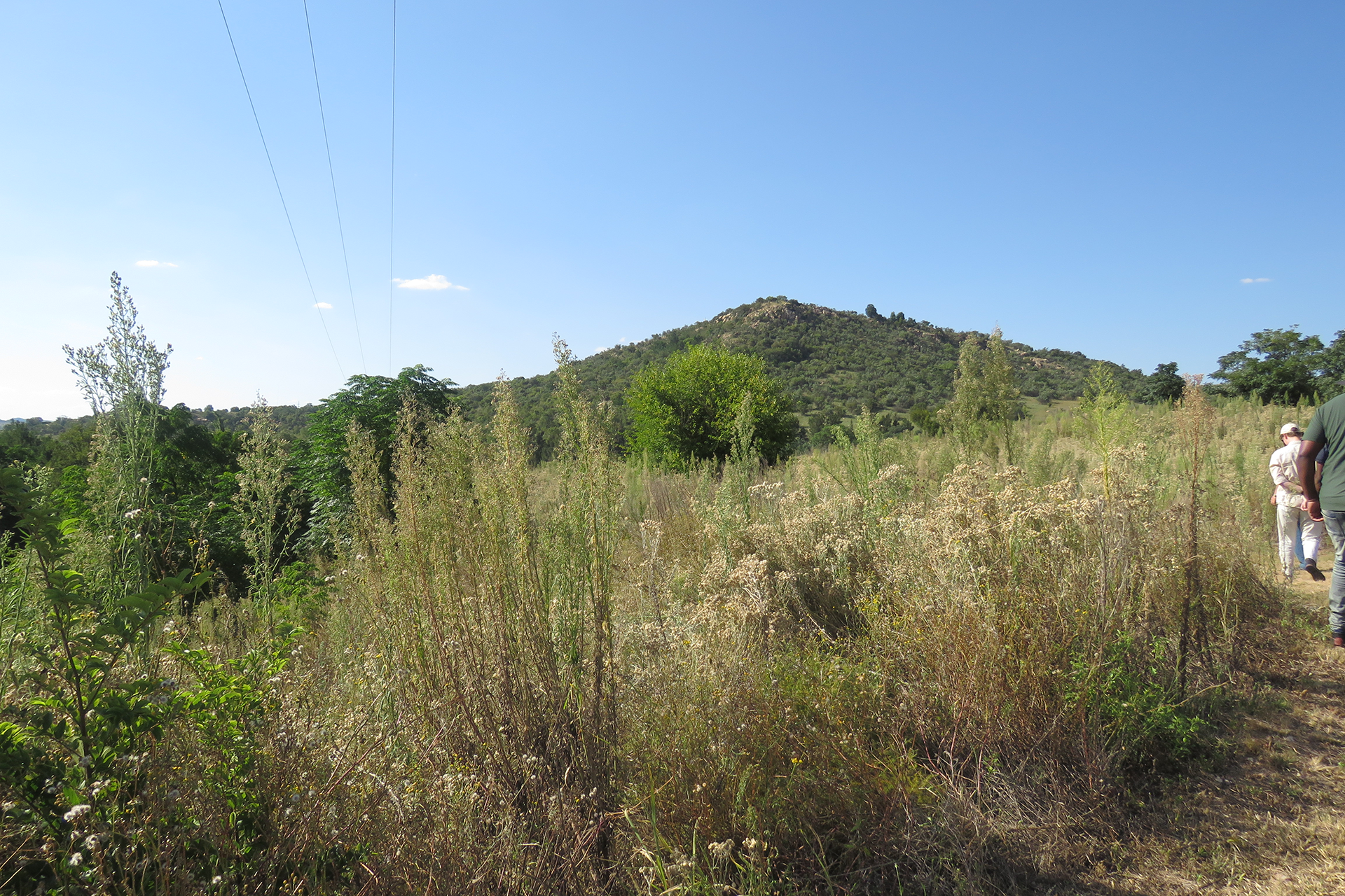 ReLISA Restoration Approach