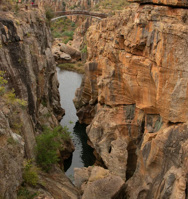 kruger3