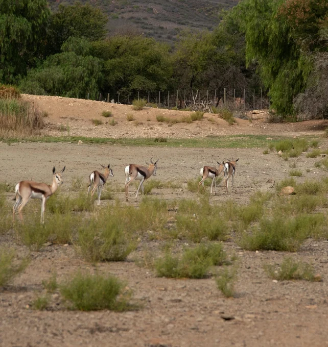 western-soutpansberg